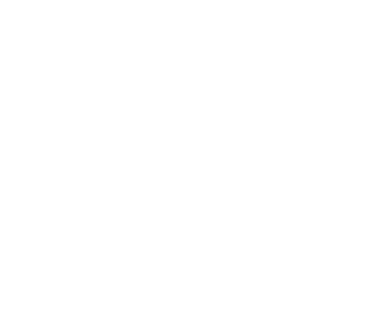 Dominion Strategic Holdings crest in white - SERA bilingual assistant